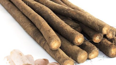 2kg 햇우엉 후기✨ 놓치면 후회! 리얼 구매팁 대방출!