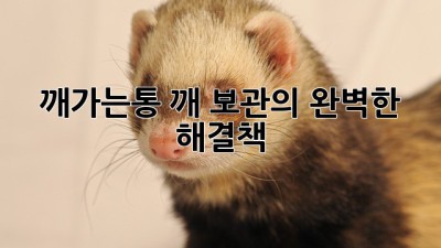 깨가는통: 깨 보관의 완벽한 해결책!