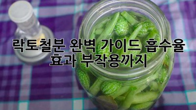 락토철분 완벽 가이드: 흡수율, 효과, 부작용까지!