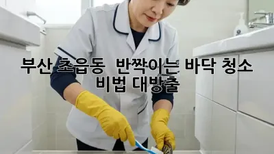 부산 초읍동 ✨ 반짝이는 바닥 청소 비법 대방출 🧹
