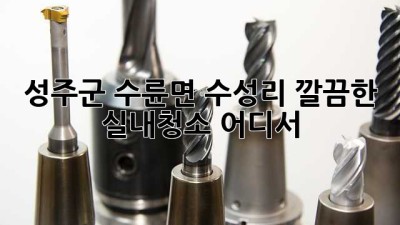 성주군 수륜면 수성리 깔끔한 실내청소, 어디서? ✨