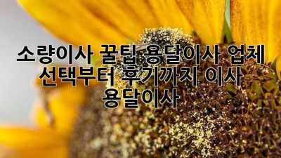 소량이사 꿀팁🍯 용달이사 업체 선택부터 후기까지! #이사 #용달이사